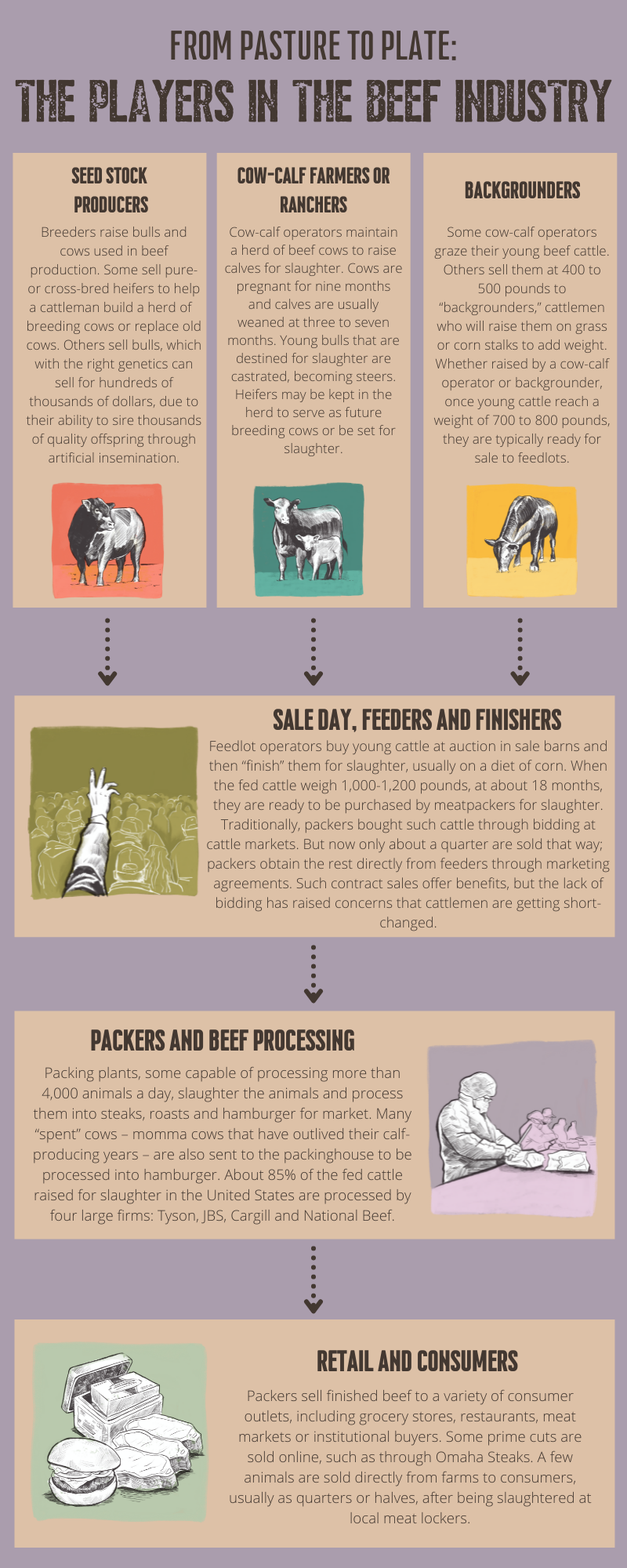 From Pasture to Plate: The players in the beef industry